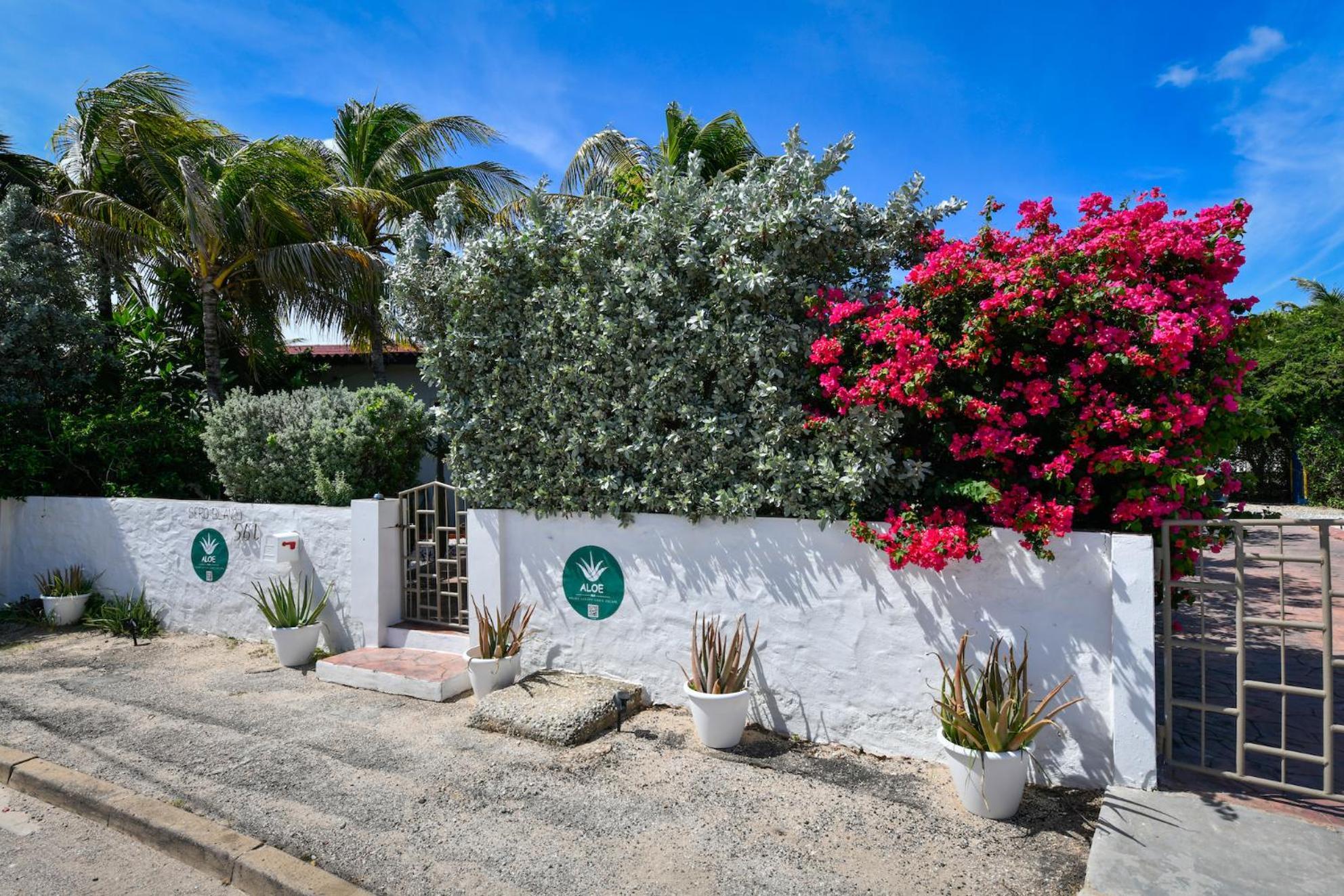 Aloe B&B Oranjestad Zewnętrze zdjęcie